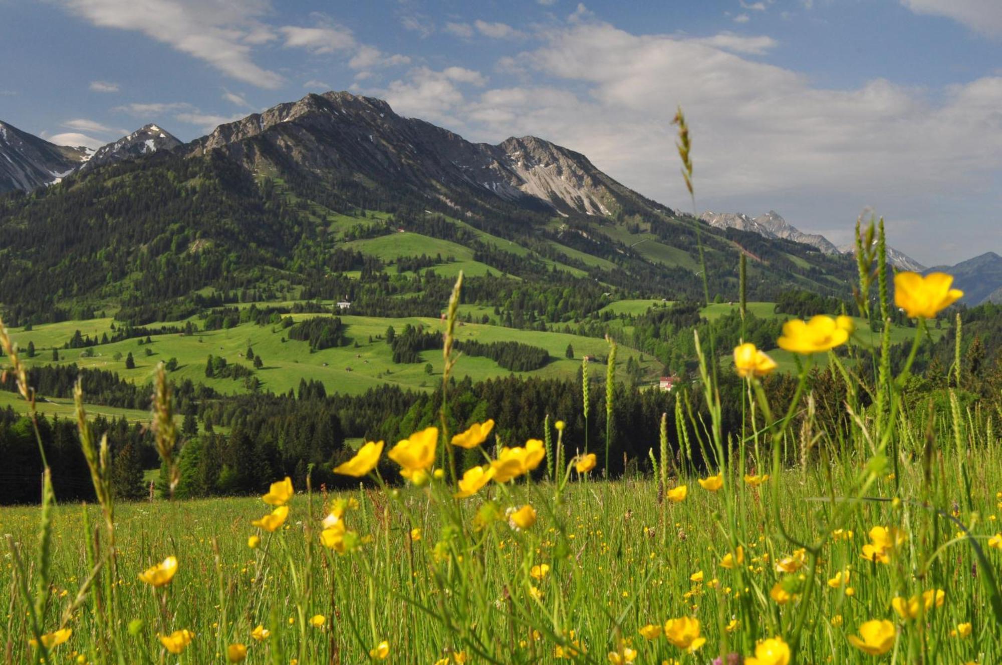 Hotel Alpengasthof Lowen Bad Hindelang Bagian luar foto